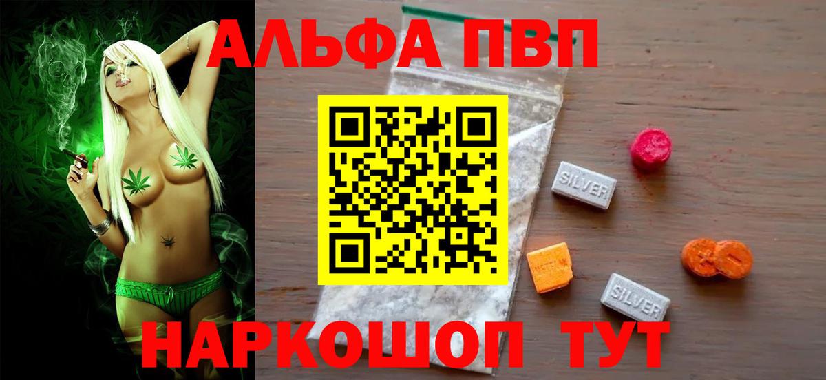 A-PVP СК КРИС Кингисепп